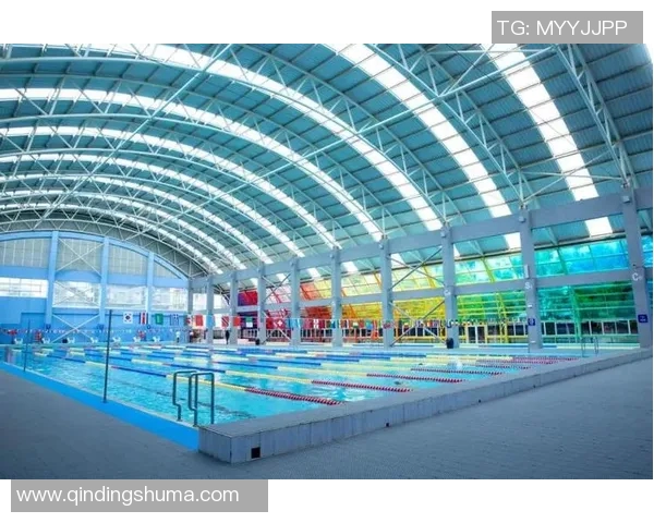 游泳技术提升秘籍：掌握基础动作，突破速度与耐力的极限