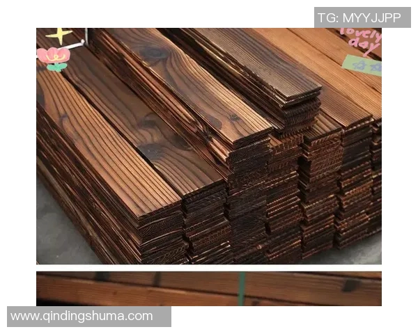 防腐木材的优势与应用探索：提升户外建筑耐久性与美观性