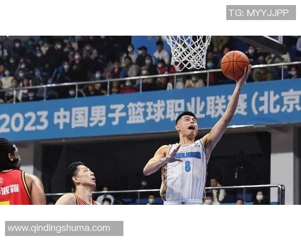全国锦标赛回顾:上海篮球队战术分析与表现评估 全国锦标赛回顾:上海篮球队战术分析与表现评估
